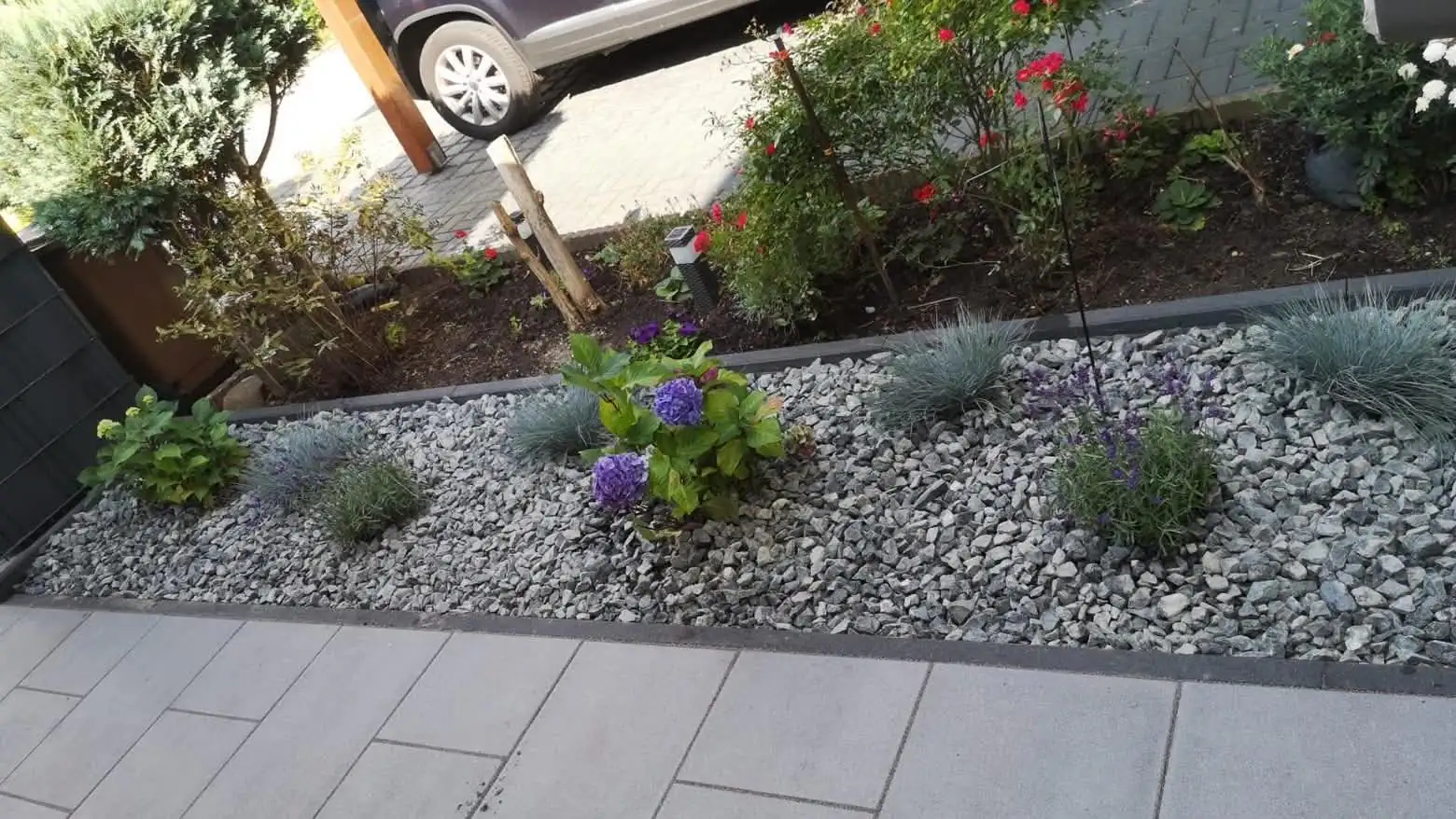 Kiesbeet mit Hortensien, Lavendel und Blauschwingel