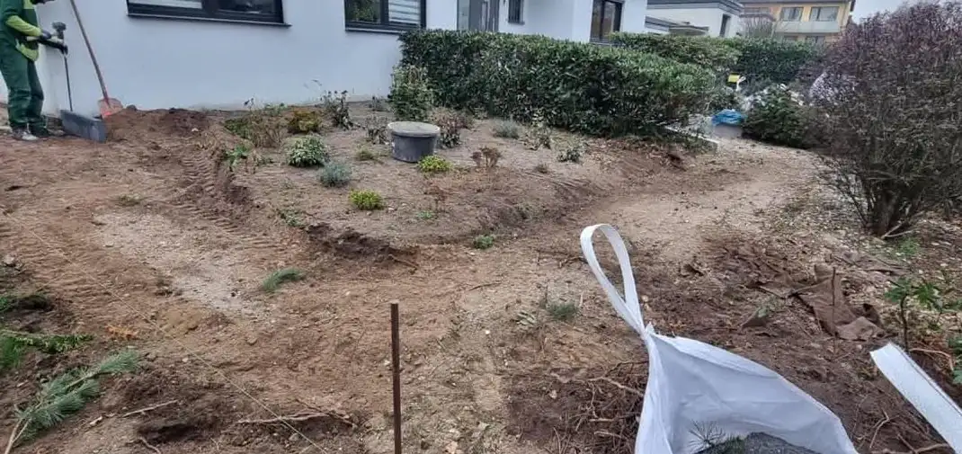 Vorgarten vor dem Umbau: offener Boden und alte Pflanzen